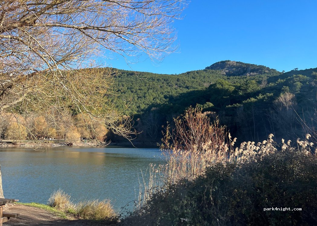 Karagöl Forest Camp — foto 5