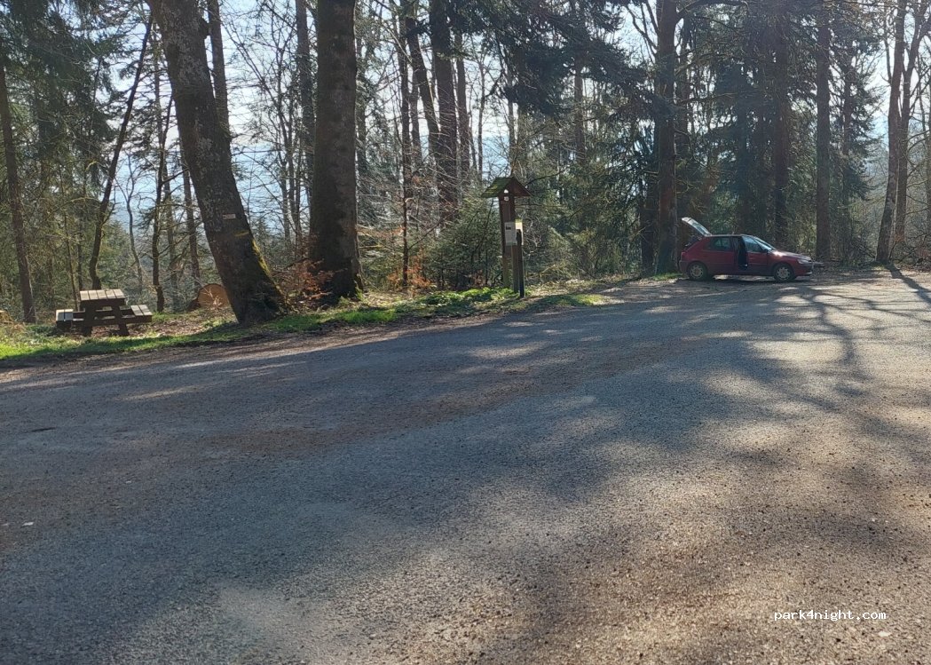 (88200) Saint-Nabord - Promenade de Gresifaing — foto