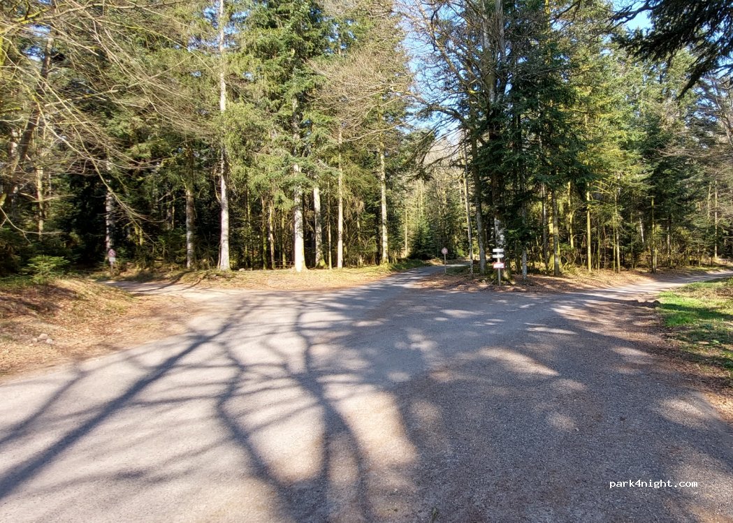 (88200) Saint-Nabord - Promenade de Gresifaing — foto 2