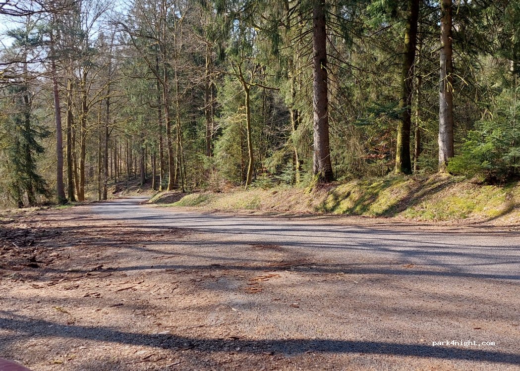 (88200) Saint-Nabord - Promenade de Gresifaing — foto 3