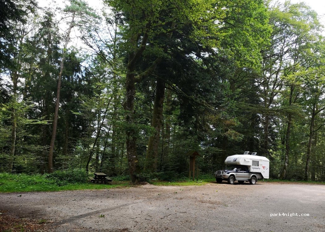 (88200) Saint-Nabord - Promenade de Gresifaing — foto 4