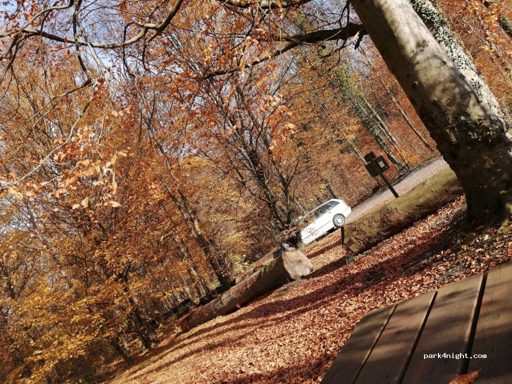 (76356) Weingarten (Baden) - Unnamed Road — foto