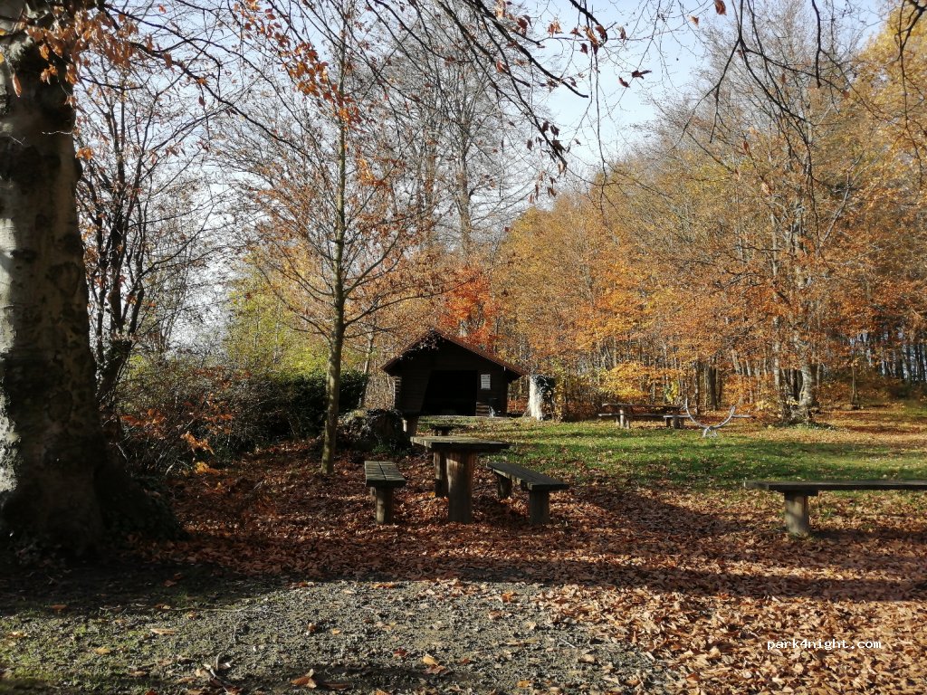 (76356) Weingarten (Baden) - Unnamed Road — foto 2