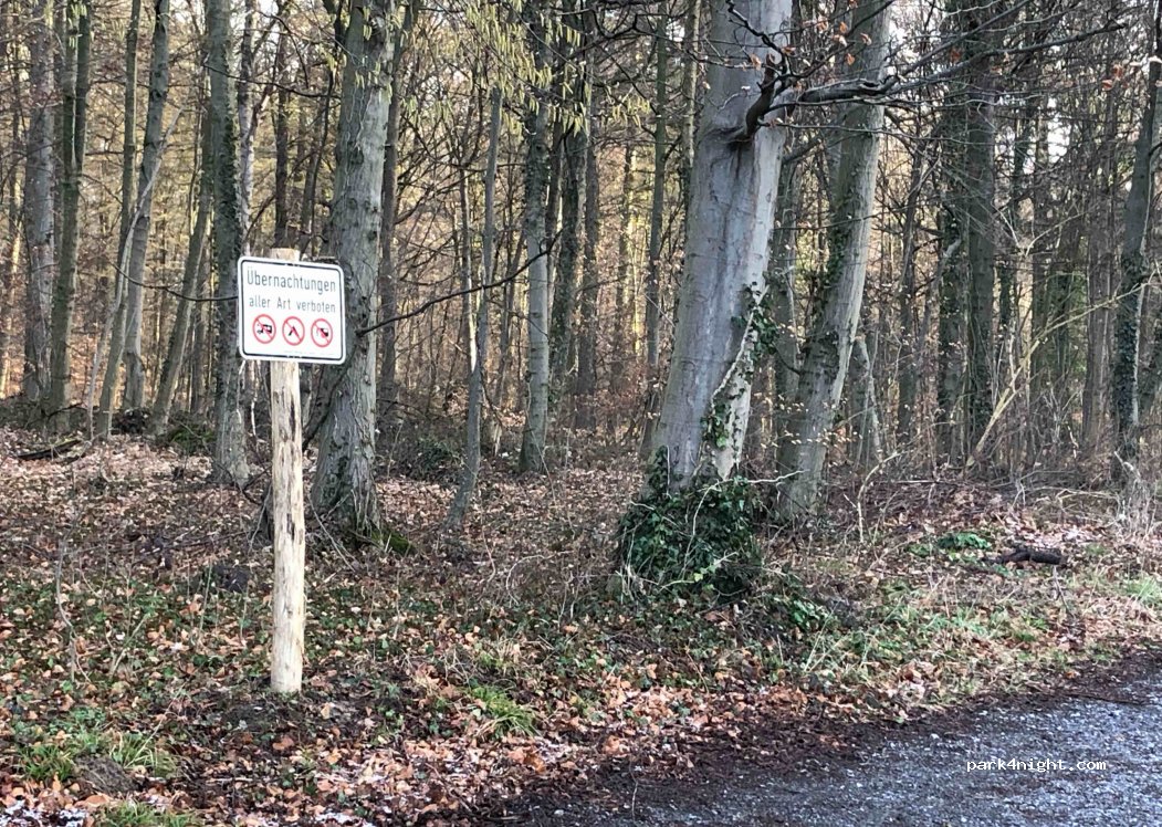 (76356) Weingarten (Baden) - Unnamed Road — foto 4