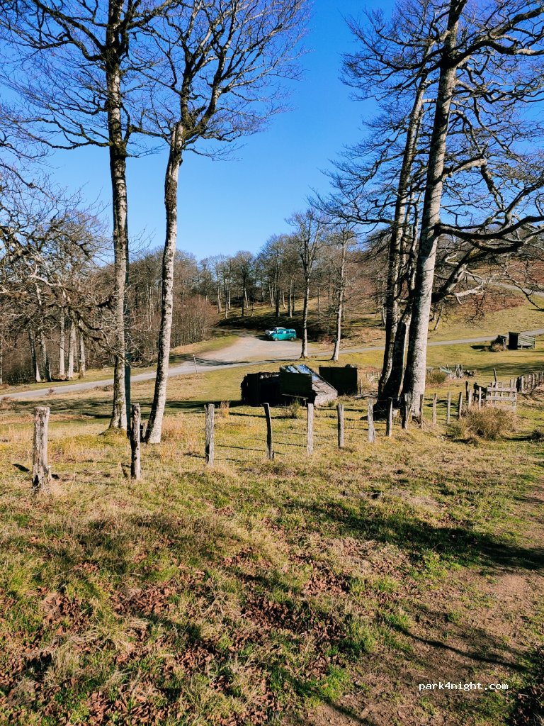 (64430) Banca - Camino Urepel — foto