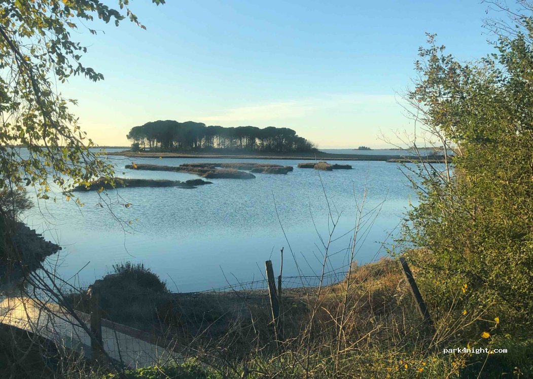 (34073) Grado - Volpera — foto 2