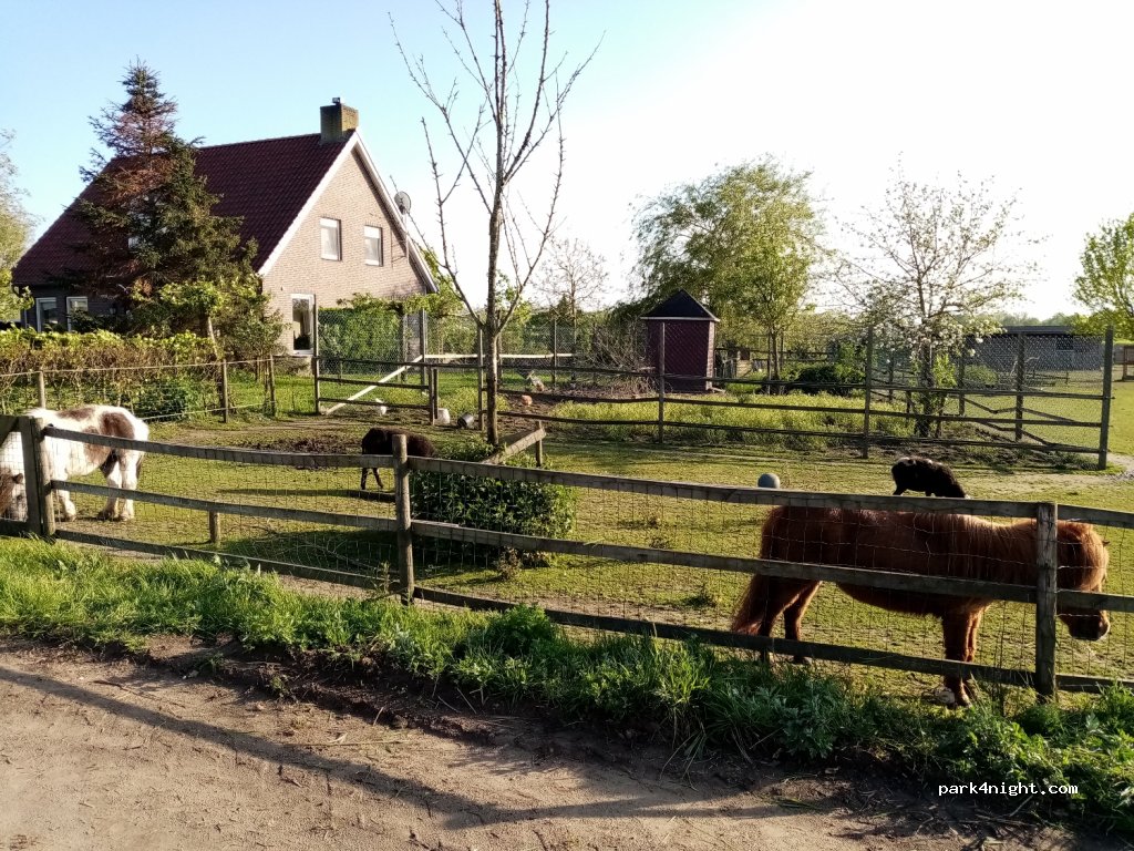 Camping de Somerweij — foto