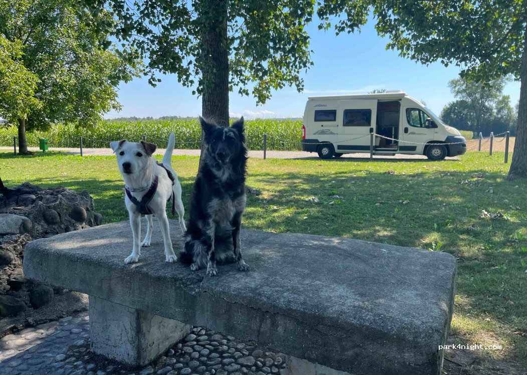 (8524) Ellikon an der Thur - 1 Untergris — foto