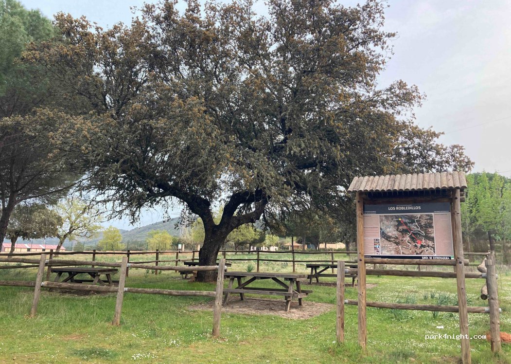 (06692) Helechosa de los Montes - Camino Cabeza Rubia — foto 3