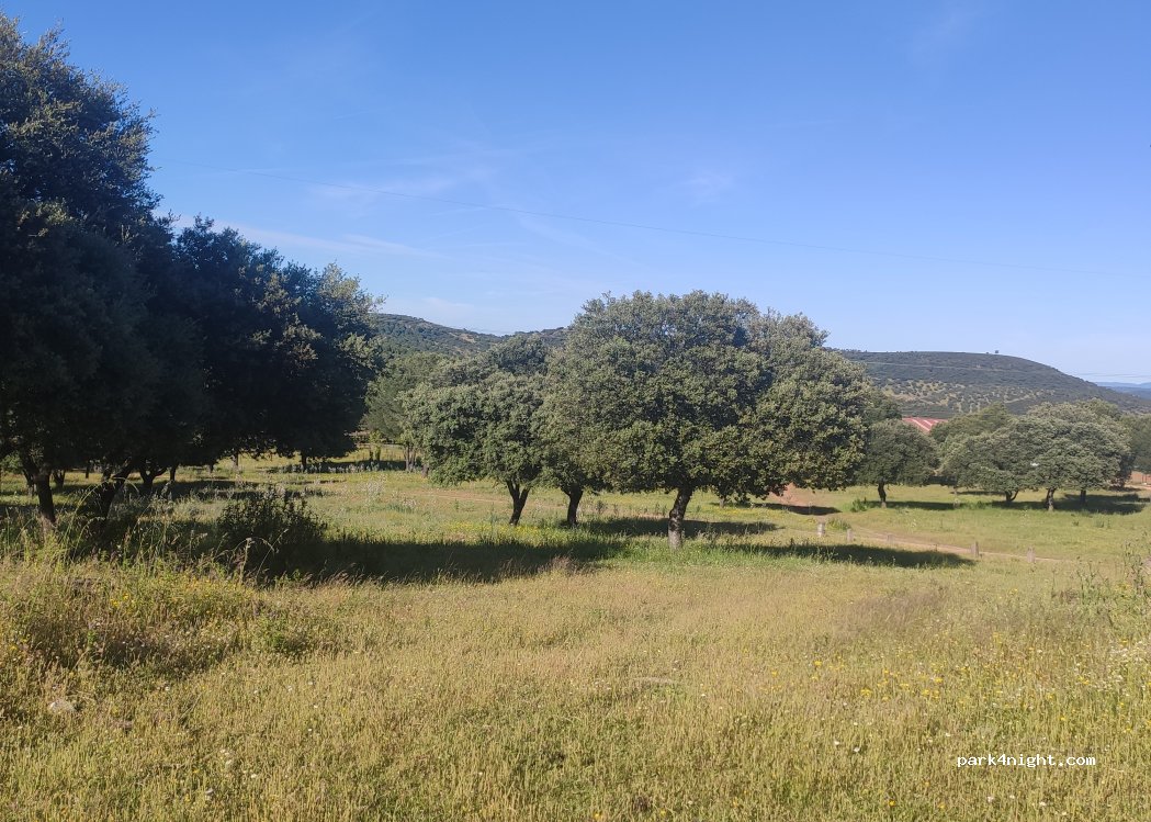 (06692) Helechosa de los Montes - Camino Cabeza Rubia — foto 5