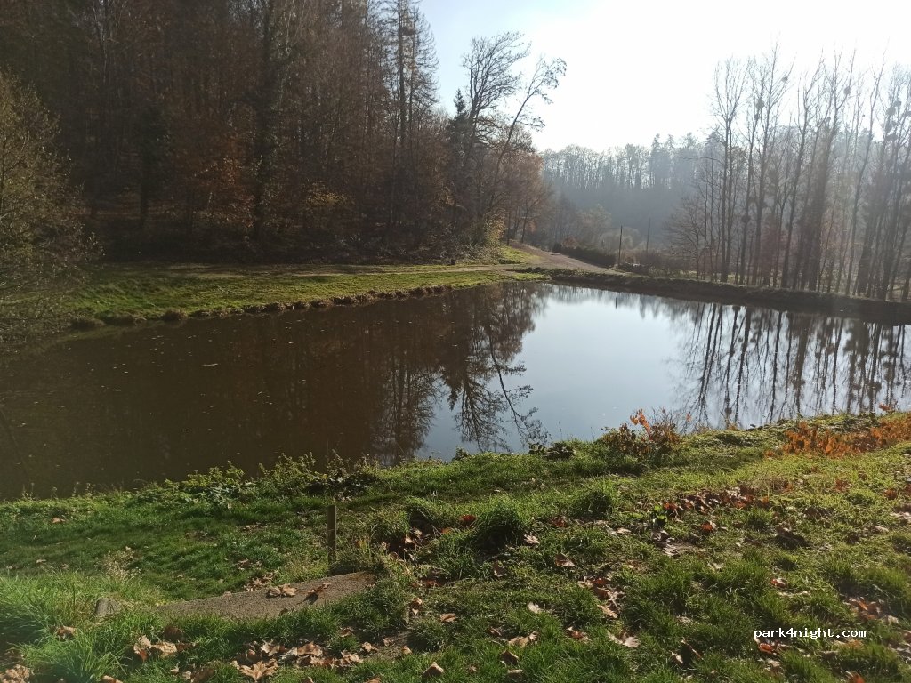 (52500) Fayl-Billot - Bois Banal — foto 2