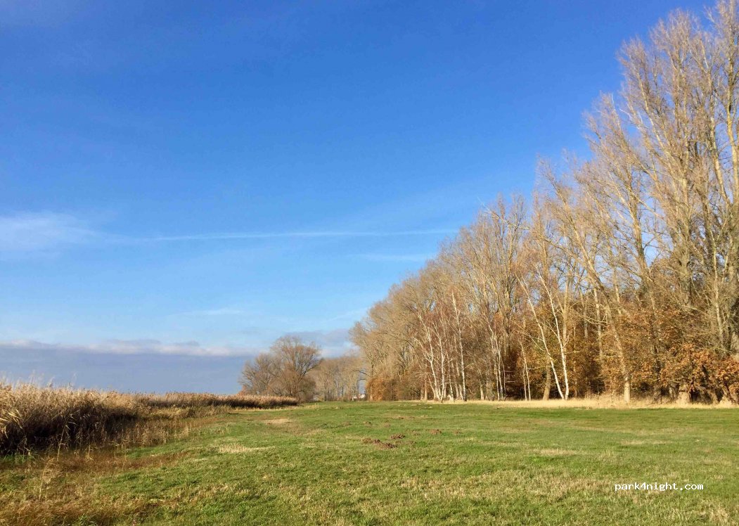 (39319) Jerichow - 1B An der alten Elbe — foto 3