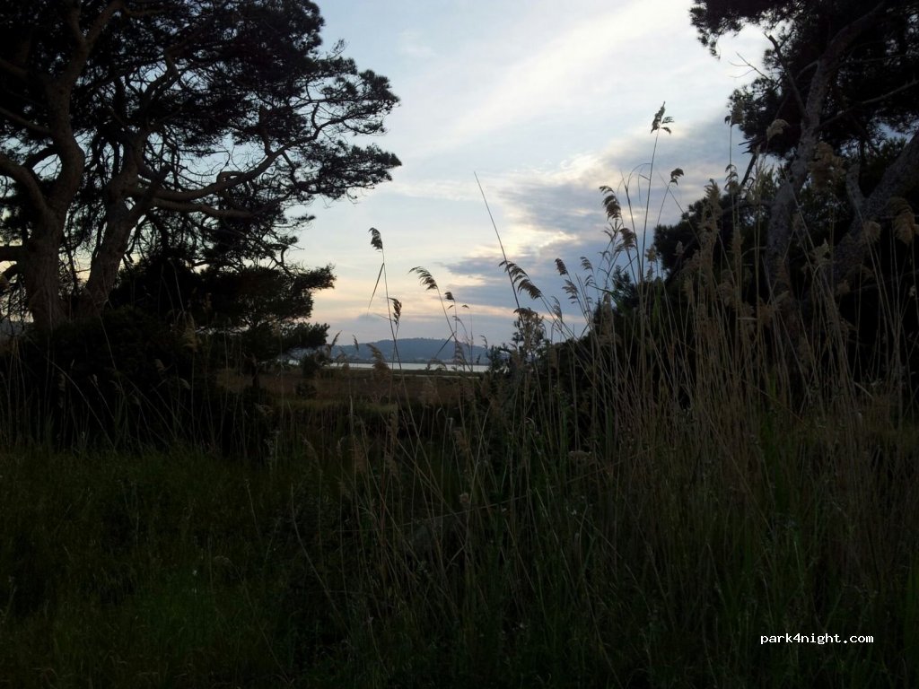 (83400) Hyères - 2972-3372 Route de Giens — foto 3