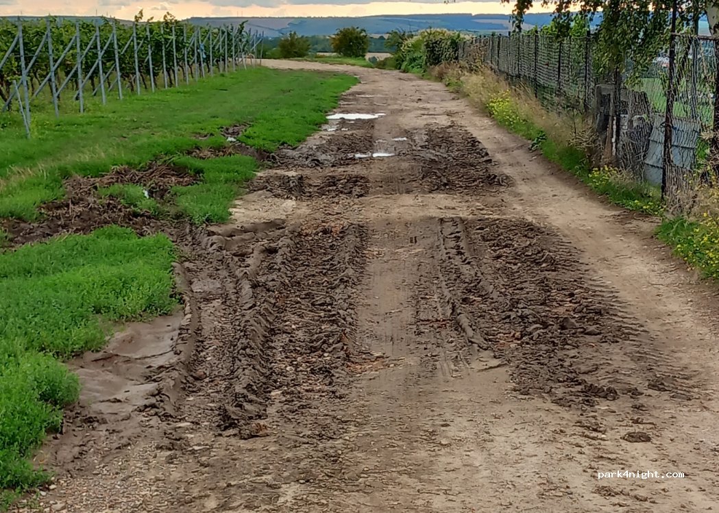 (06317) Seegebiet Mansfelder Land - 8 Hallbergstraße — foto 4