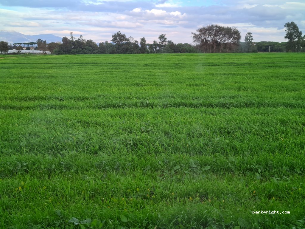 (04016) Bella Farnia - Strada della Lavorazione — foto