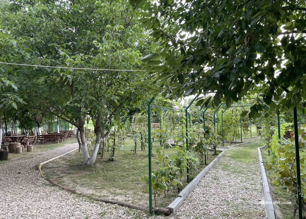 La Artar Camping — foto 5