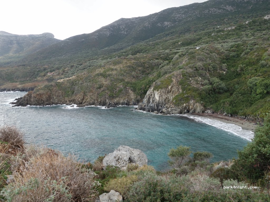 (23053) Βελανίδια - — foto 2