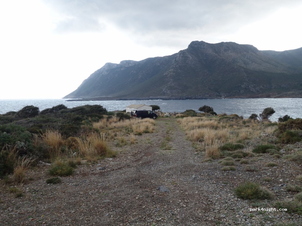 (23053) Βελανίδια - — foto 3
