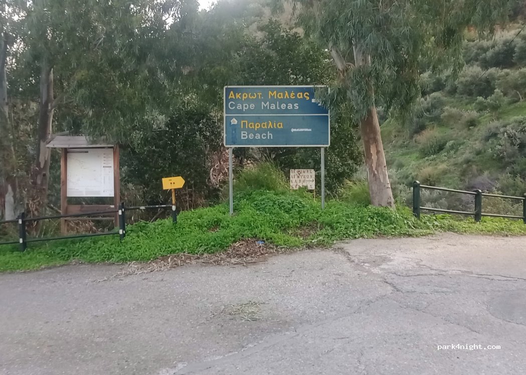 (23053) Βελανίδια - — foto 4