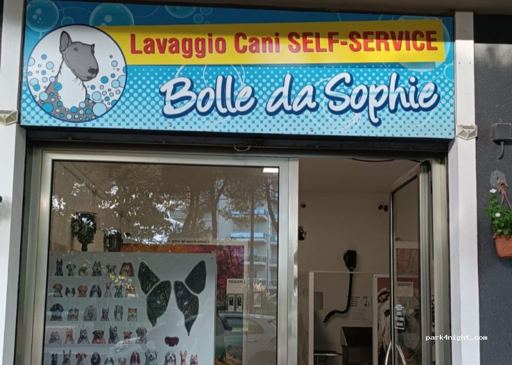 (64028) Silvi - 81 Viale Tevere — foto 3