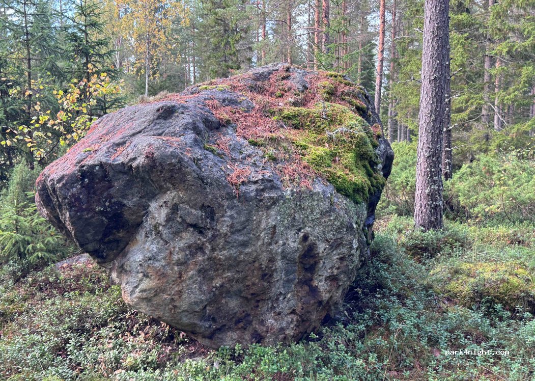 (930 15) Bureå - Unnamed Road — foto 4