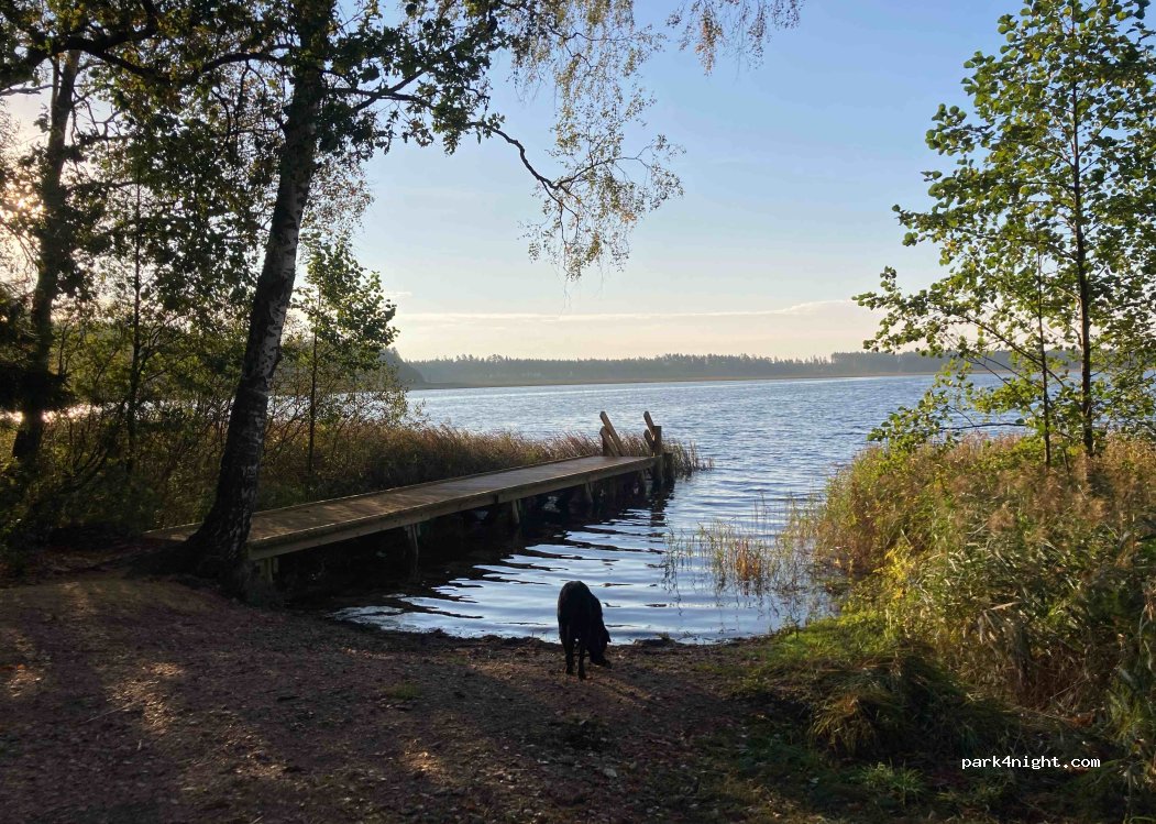 (4405) Gulbene - Unnamed Road — foto 2