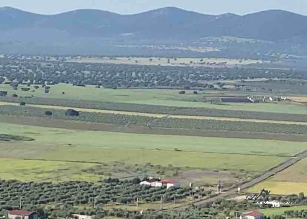 (06429) Benquerencia de la Serena - 45 Calle Corredera — foto 4