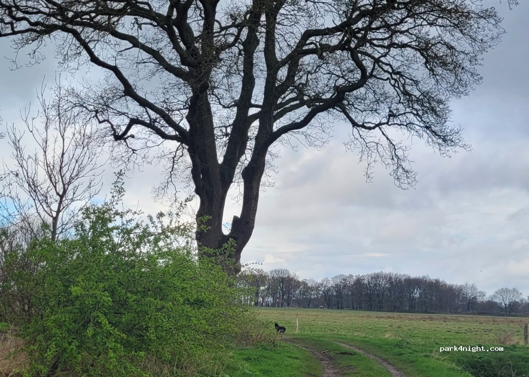 (9458 TE) Balloo - 1 Crabbeweg — foto 3