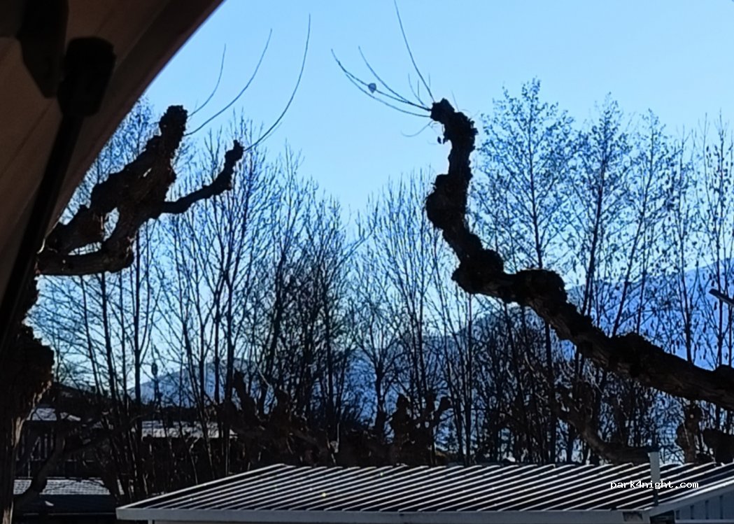 CERDANYA EcoRESORT — foto