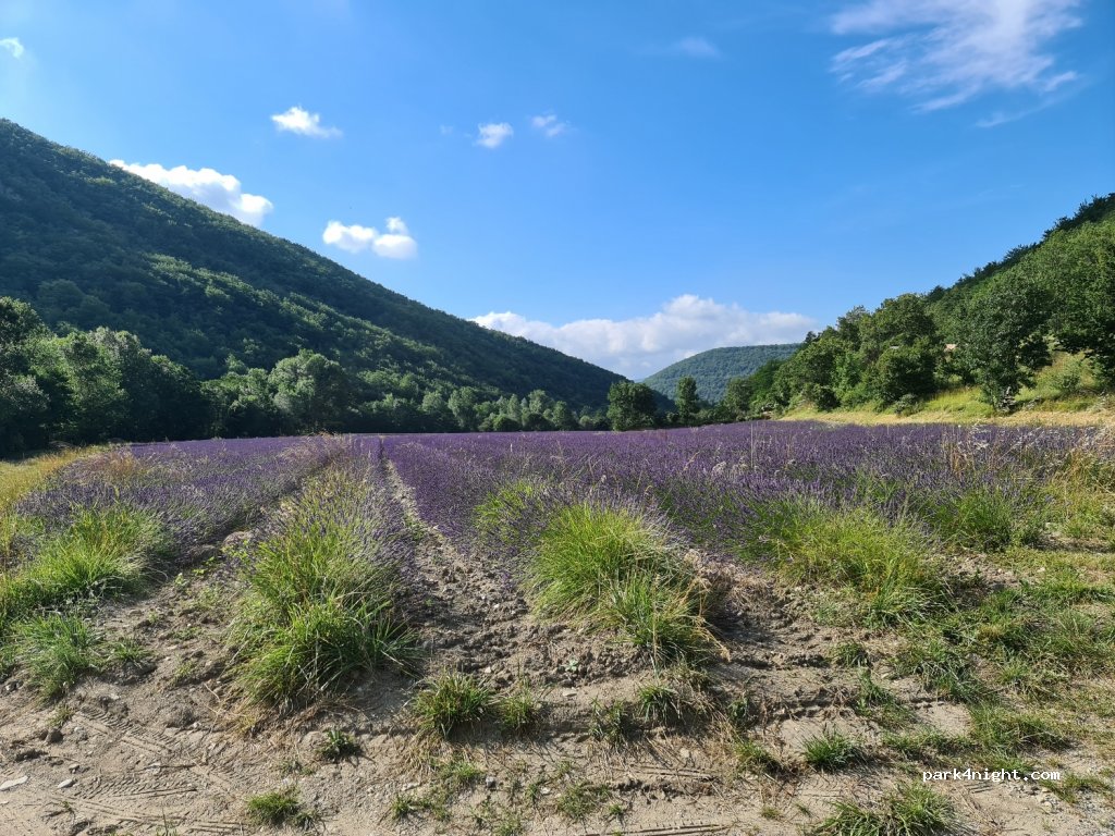(26220) Teyssiéres - Les Broc — foto