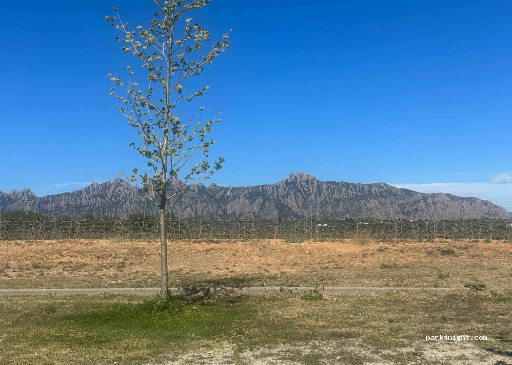 (08781) Els Hostalets de Pierola - 3 Plaça Ind. Camp de la Serra — foto 3