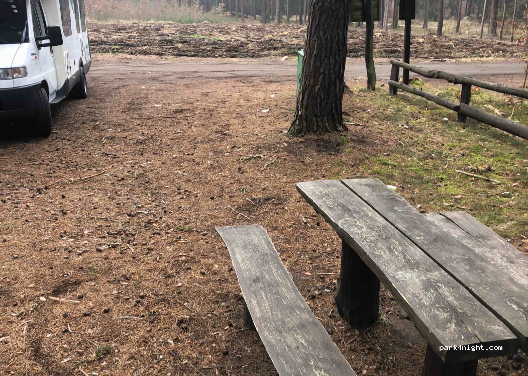 (55-120) Oborniki Śląskie - Droga Wojewódzka 340 — foto