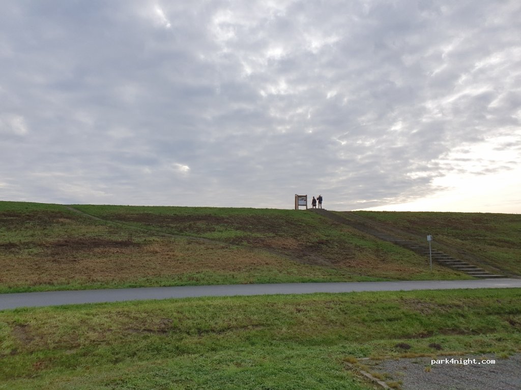(9220) Hamme - 33 Bunt — foto