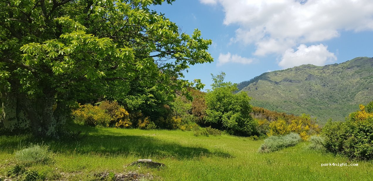 (16047) Moconesi - Via San Rocco di Moconesi — foto