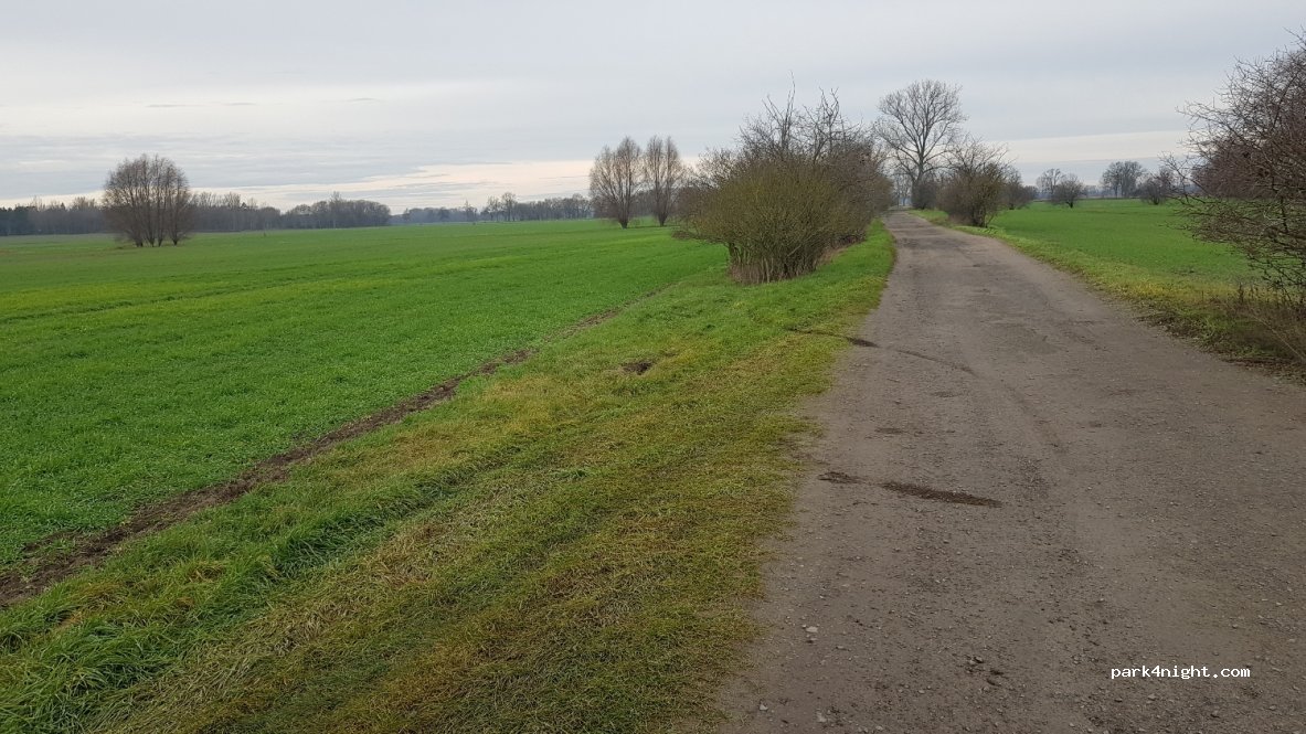 (15806) Rangsdorf - Unnamed Road — foto 2