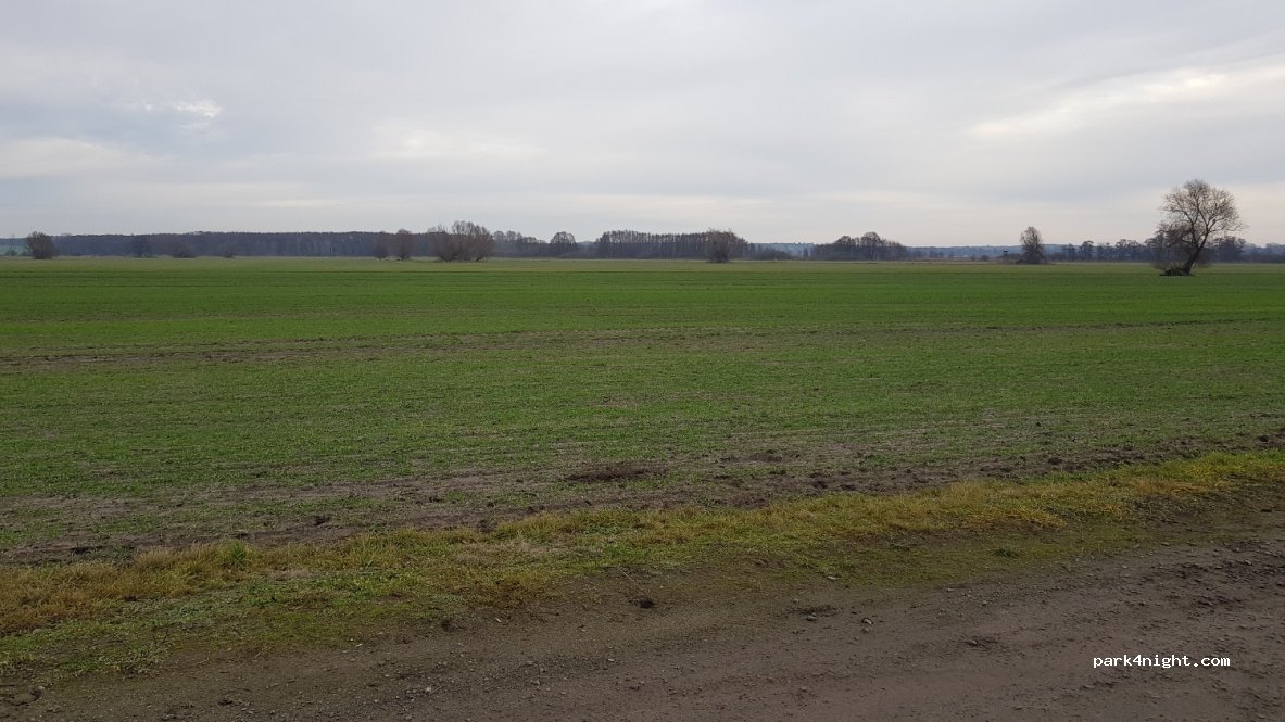 (15806) Rangsdorf - Unnamed Road — foto 3