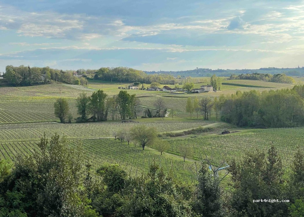 Earl Moritz Château Guillotin — foto 4