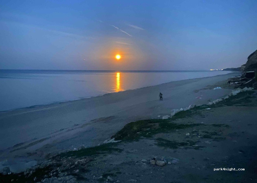 (34540)  - Ormanlı Yolu — foto 5