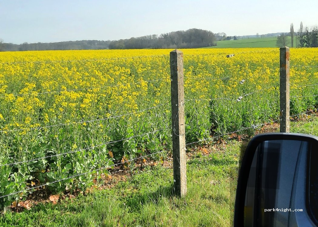 (45220) Chuelles - Chemin des Comtois — foto 2
