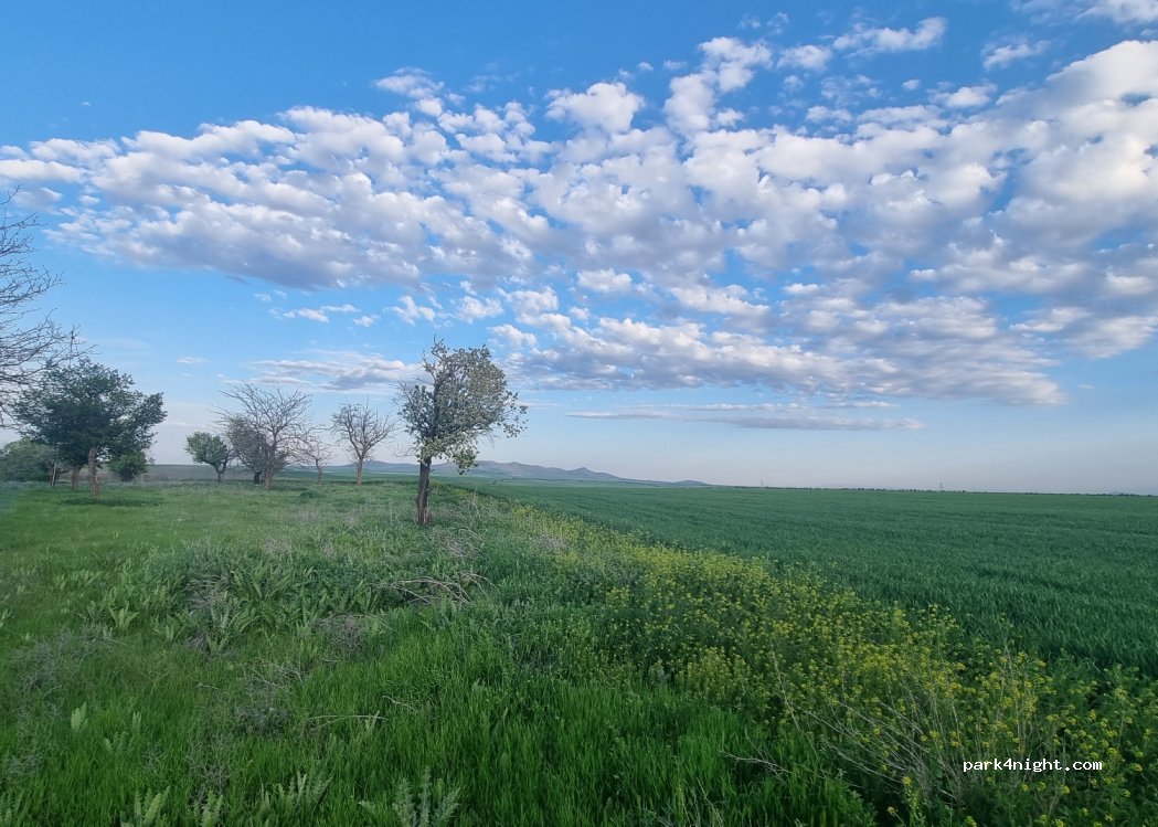 (42530)  - Kadınhanı Yolu — foto 2
