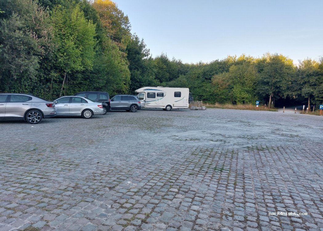 (9255) Buggenhout - 195 Kasteelstraat — foto 3