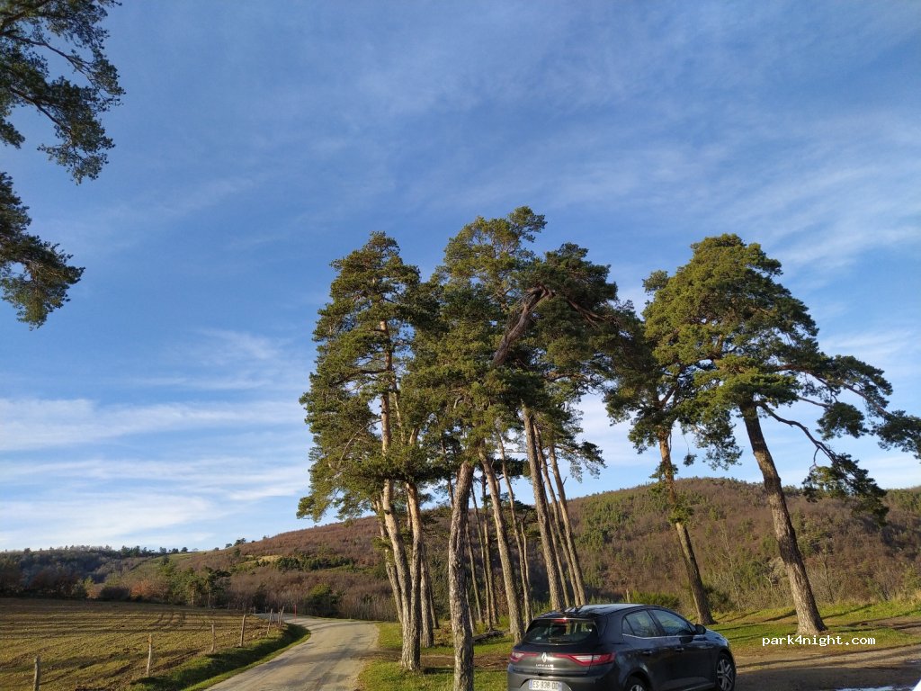(07340) Felines - 3880 Le Fayet — foto