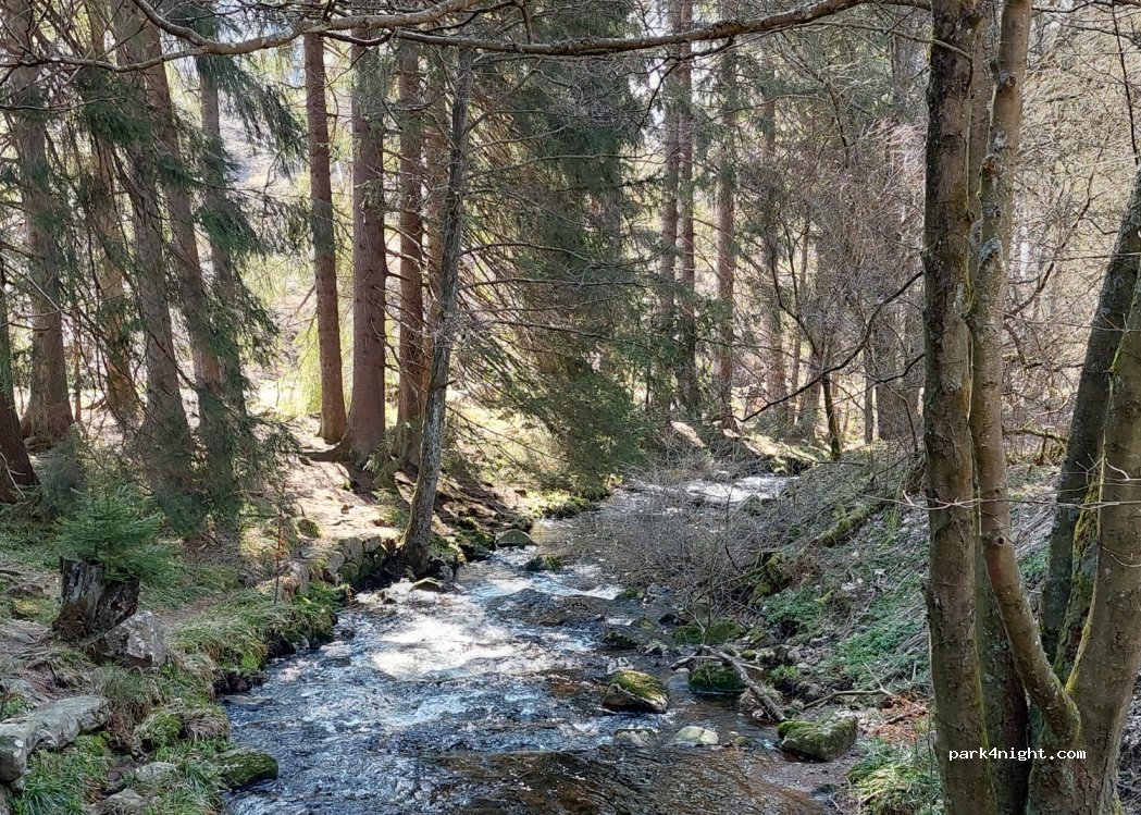 (38700) Braunlage - 3 Karl-Röhrig-Straße — foto 3