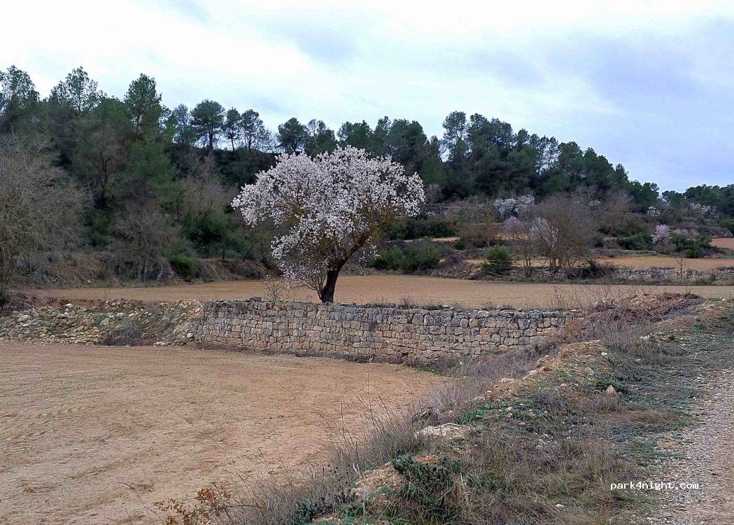 (25440) Vinaixa - 92A Carretera de Lleida — foto 4