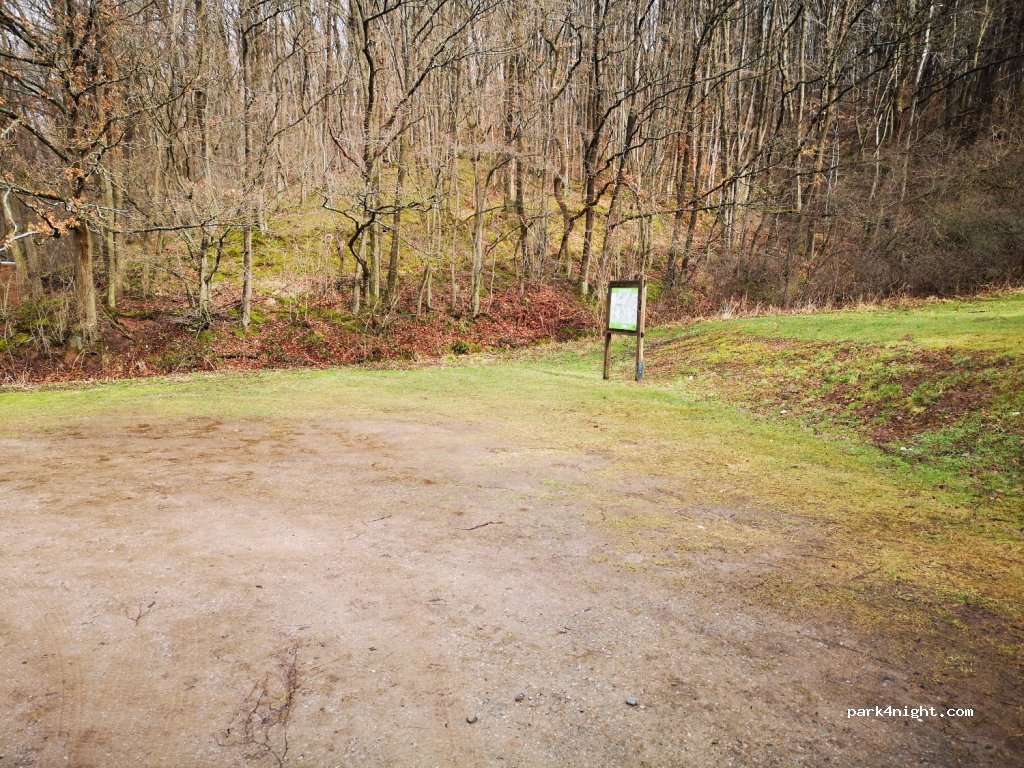 (53947) Nettersheim - L206 — foto