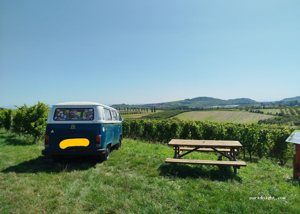 (67520) Westhoffen - D142 — foto 4