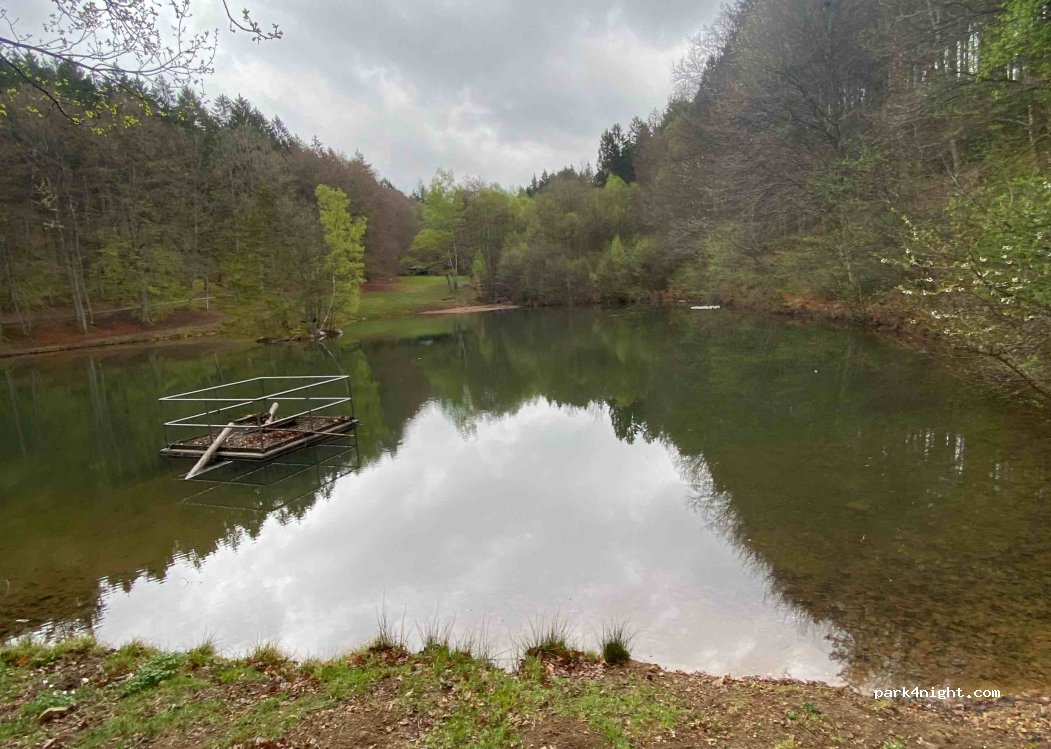 (54316) Holzerath - Unnamed Road — foto 5
