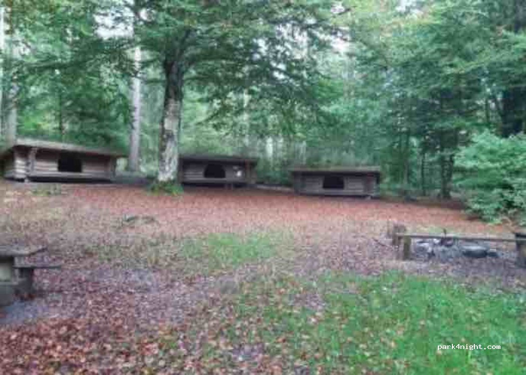 Bjerringbro Camping — foto