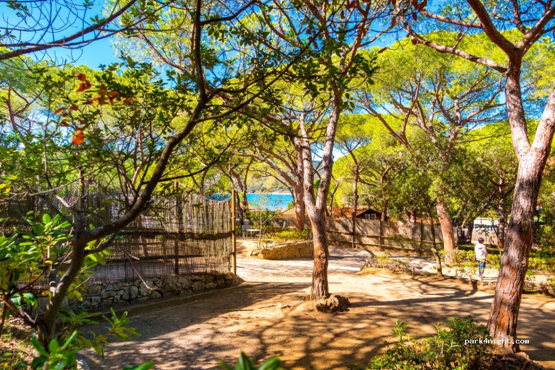 Camping Lacona Pineta — foto 5