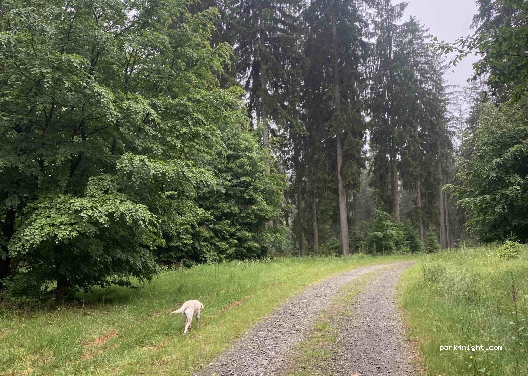 (4760) Büllingen - Buchholz — foto 5